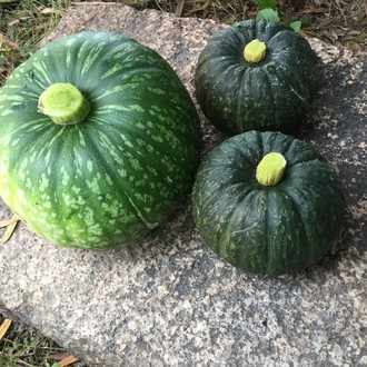 悲しいけど それ はあの人の価値観で 世界じゃそれを理不尽と呼ぶの ーーー今日の短歌77 高橋 Note