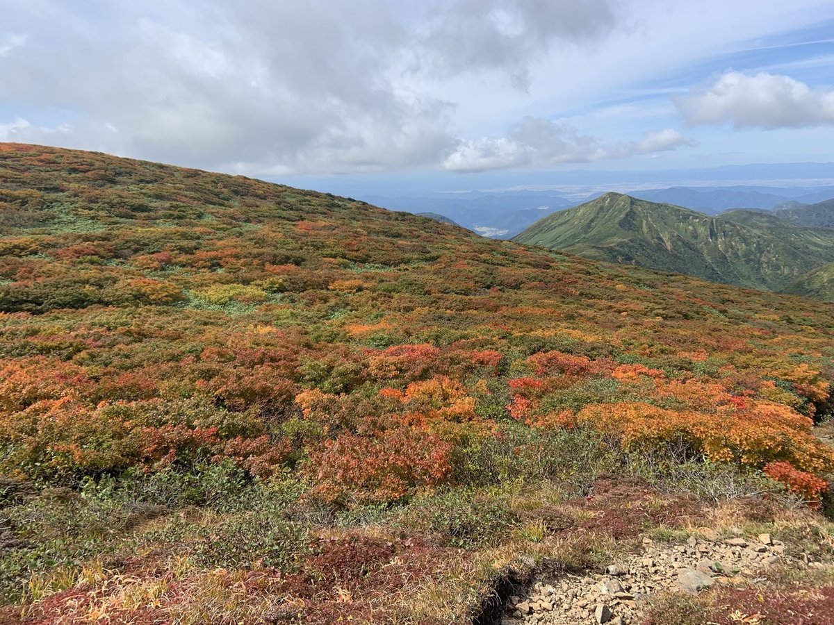 南本ない紅葉