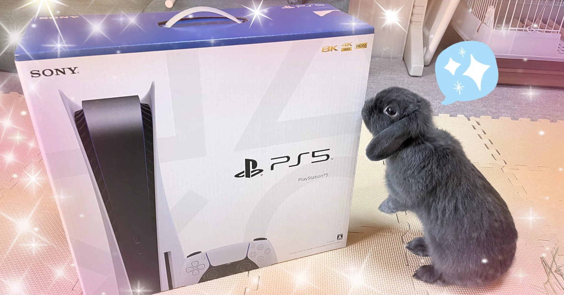 ps5の延長保証は後からでも加入しておくべき｜とくめい（匿名）