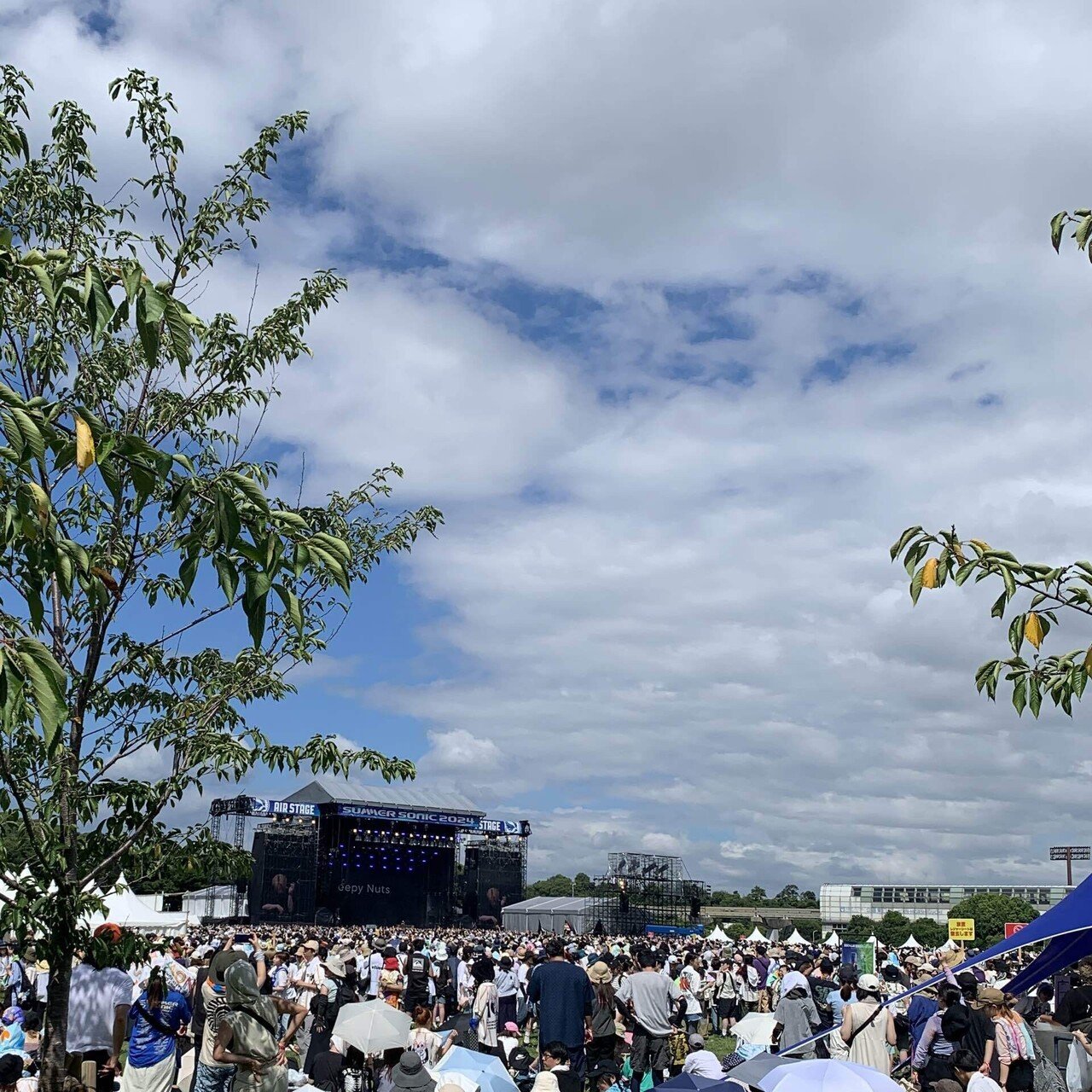 サマソニ2024大阪1日目参戦 備忘録｜miyu-fa(みゆふぁ)