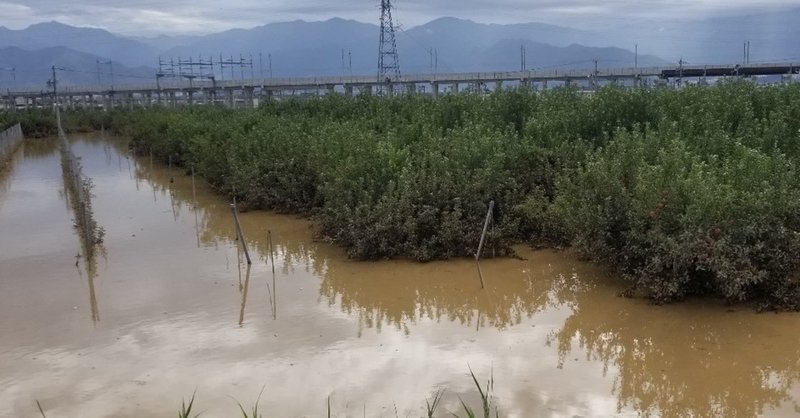 台風19号被害復旧のための「長野りんご食べた気持ち募金」〜プロローグ〜