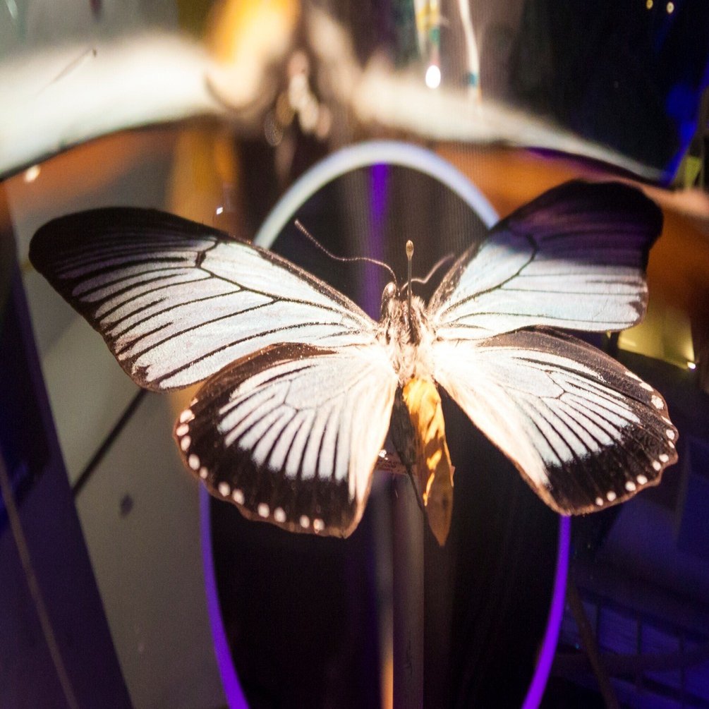 標本」歌詞解説｜誠影