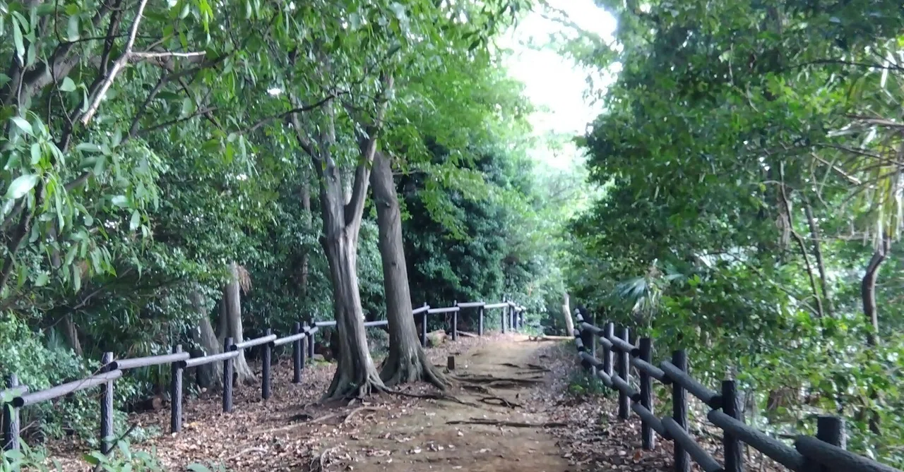 熊野 神社 市民 の 森