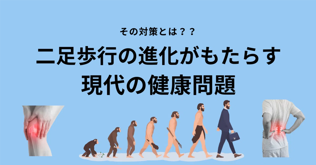 ヒト 二足歩行 なぜ: 直立二足歩行ができるようになった人類 – MSKYXA