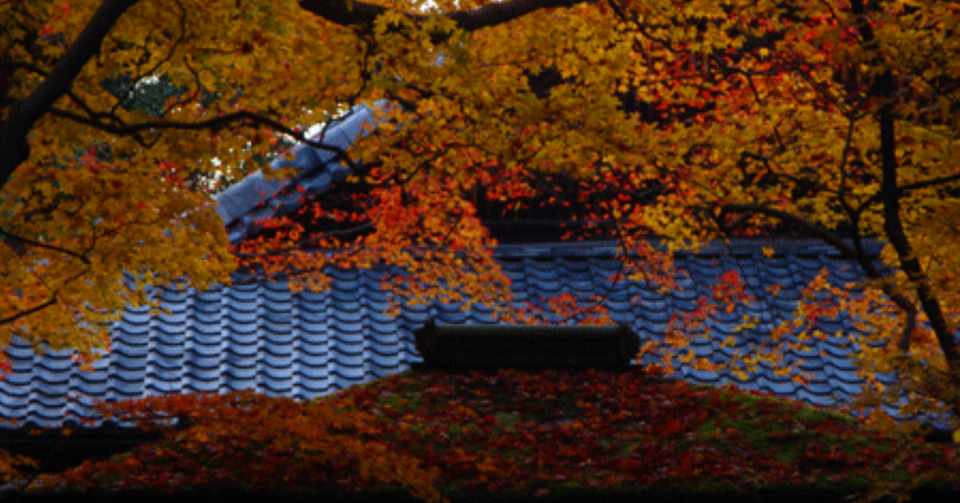 京都紅葉ガイド 高桐院編 リアル絵tシャツ屋さん Note