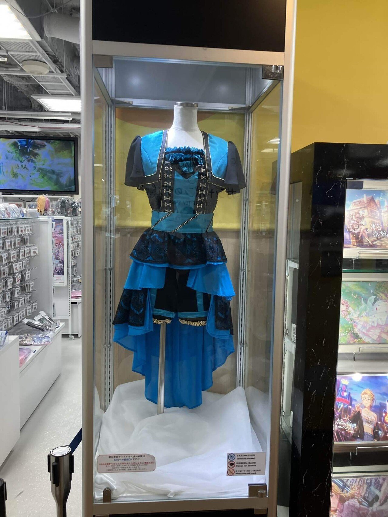 かめちゃん 月刊かめちゃん 2024年8月号｜かめちゃん