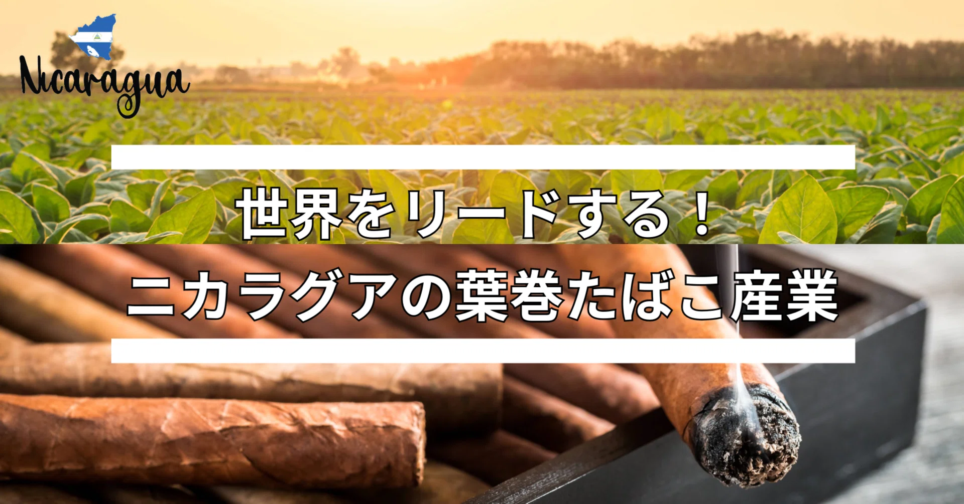 専用1960~1980年頃の輸入たばこ空き箱21点
