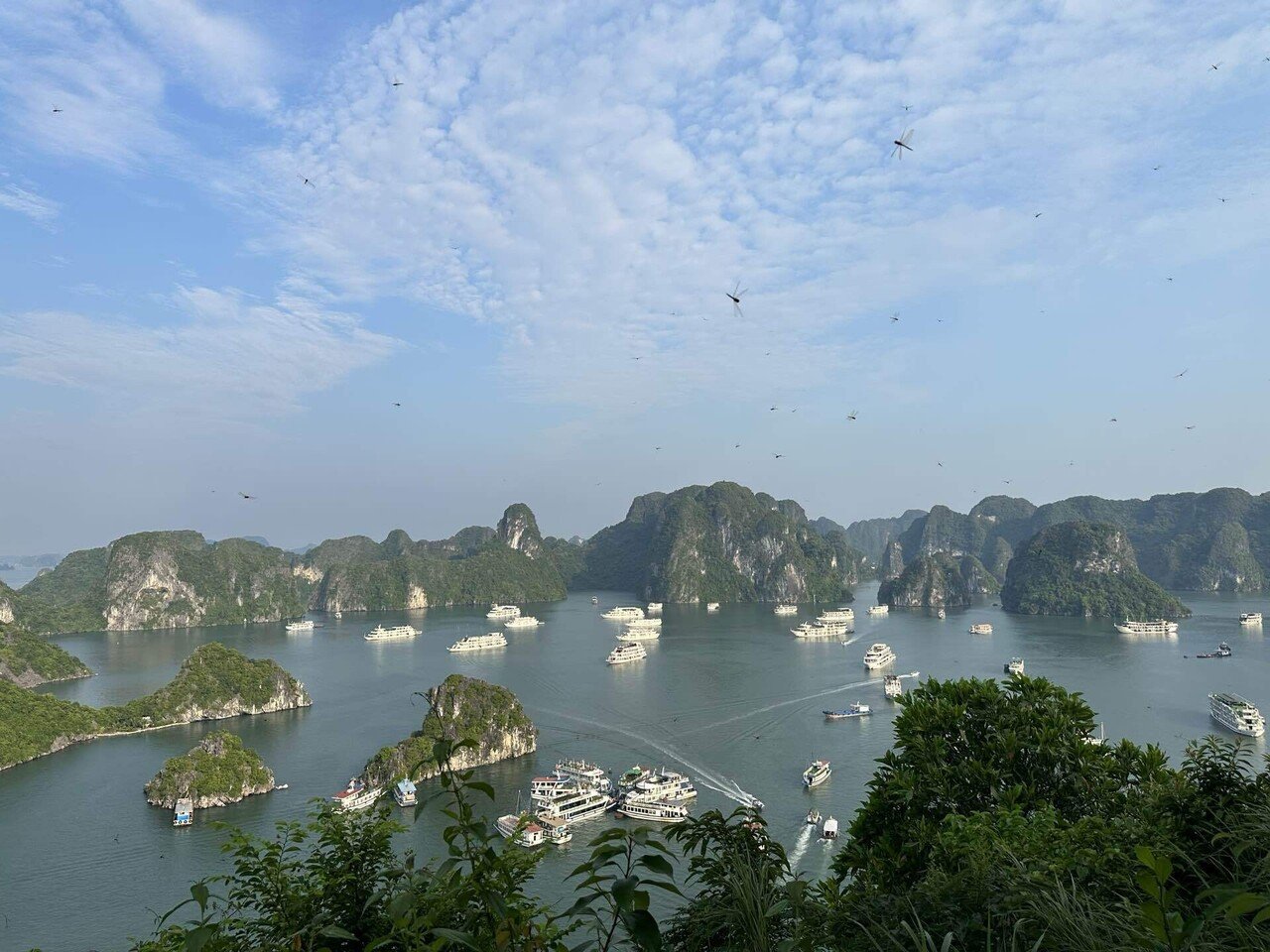 ベトナム】 ハロン湾クルーズツアーに行ってきた！ 現地予約、行き方や