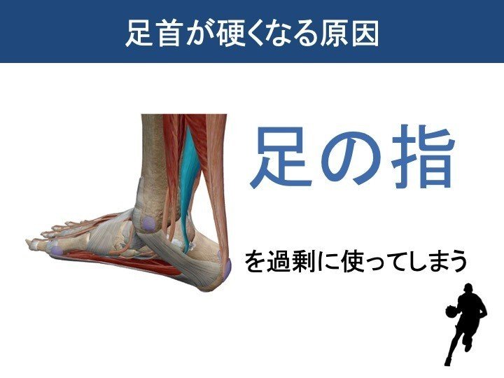 足首が曲がれば 動きが変わる ースポーツ選手に多い足首の硬さー 岡野 良介 Note 足首が曲がれば 動きが変わる ースポーツ選手に多い足首の硬さー 岡野 良介 Note