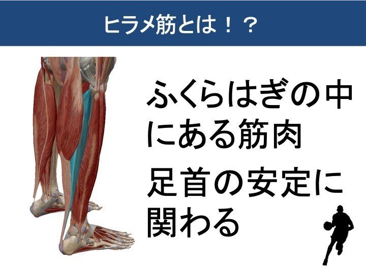 足首が曲がれば 動きが変わる ースポーツ選手に多い足首の硬さー 岡野 良介 Note