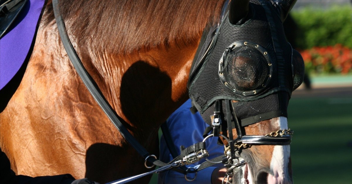 ウォーターナビレラ 桜花賞 阪神競馬場 現地単勝馬券 さみし