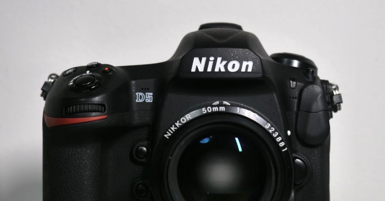 機材レビュー】Nikon D5｜鷺