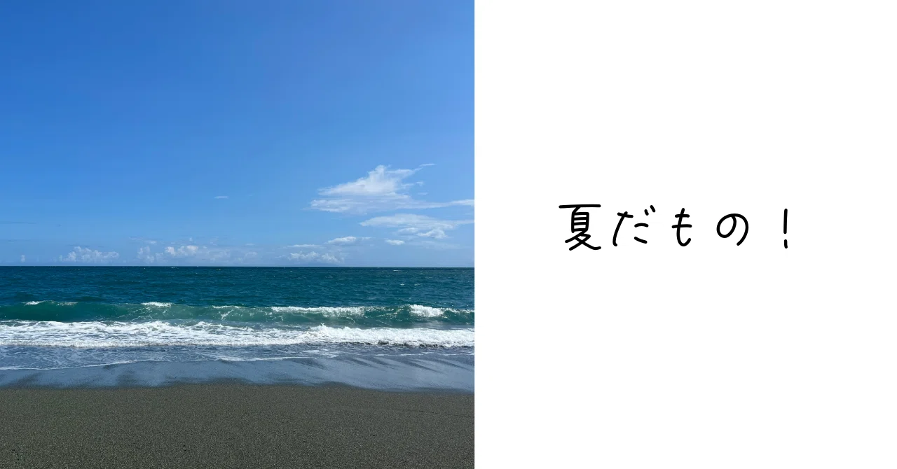 小田原ビーチコーミング。というか石拾い。｜Ms