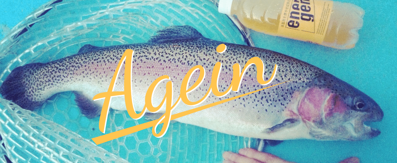 としまえんプールでどでかいニジマスを釣るagein Thingo Tksk Note としまえんプールでどでかいニジマスを釣るagein Thingo Tksk Note