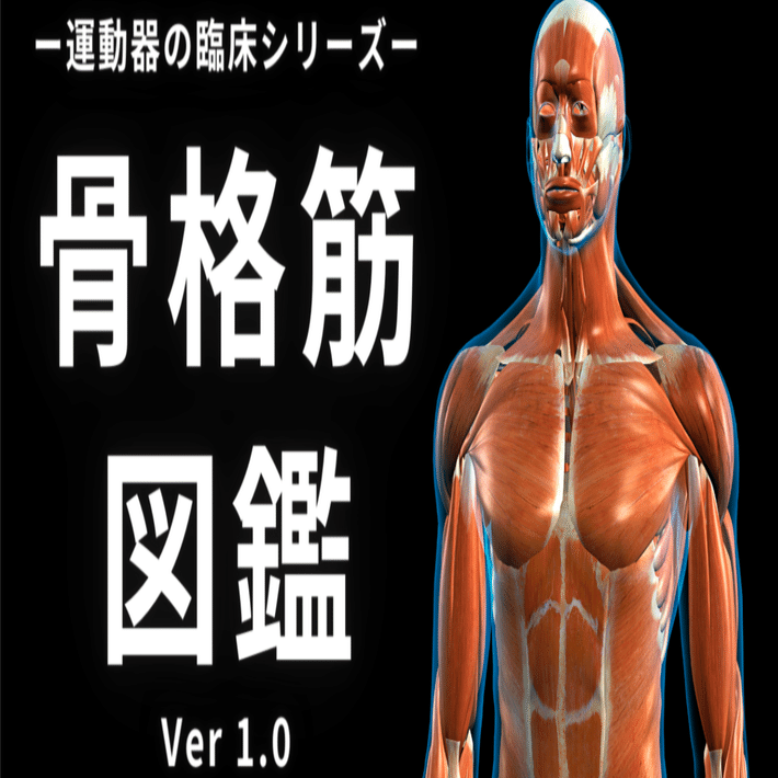 骨格筋図鑑ver1.0｜理学療法士による臨床のためのnote