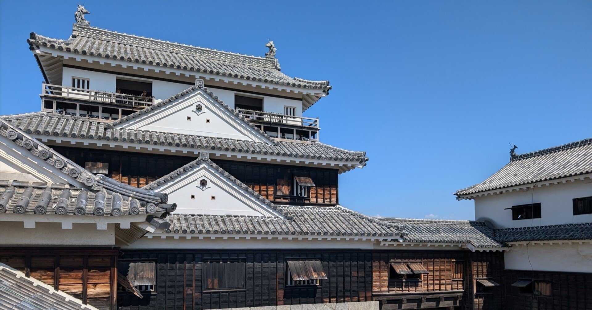 たくさん歩く(松山城)#489｜やん（矢野達也）