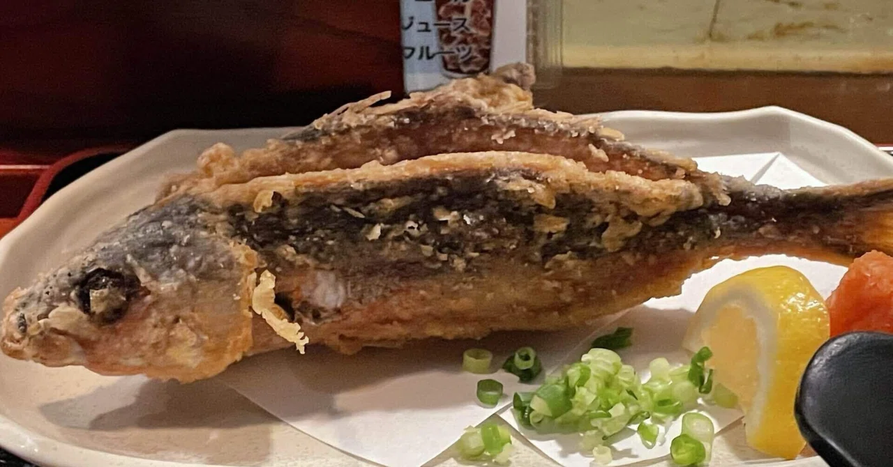 ここはどこ:初島で、沖縄の県魚・グルクン(タカサゴ)200、300匹いる~!|Goku
