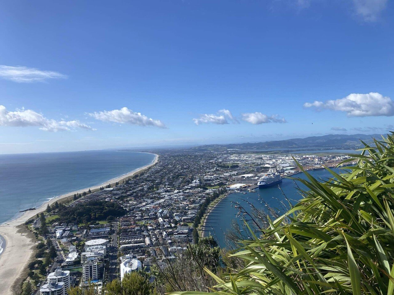 NZ日記🇳🇿｜3泊4日でニュージーランド北島満喫プラン｜ゆうか