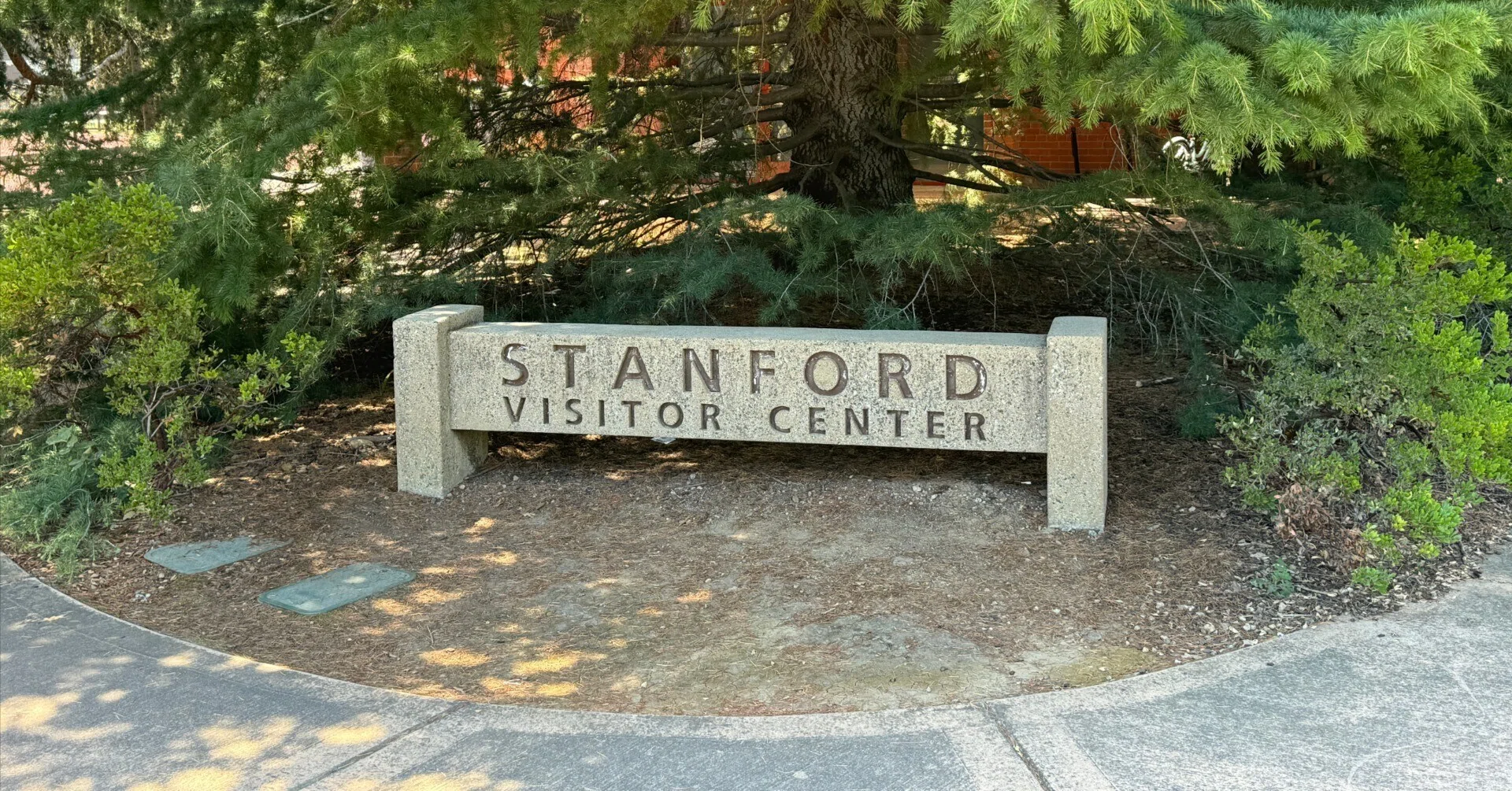 スタンフォード大学 フェルトフラッグ スタンフォード大学に行ってき 
