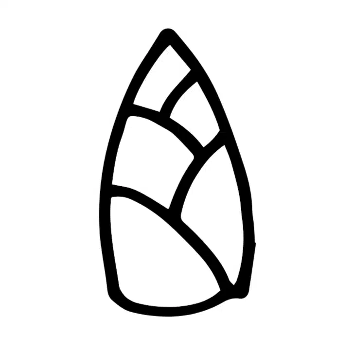 のこ