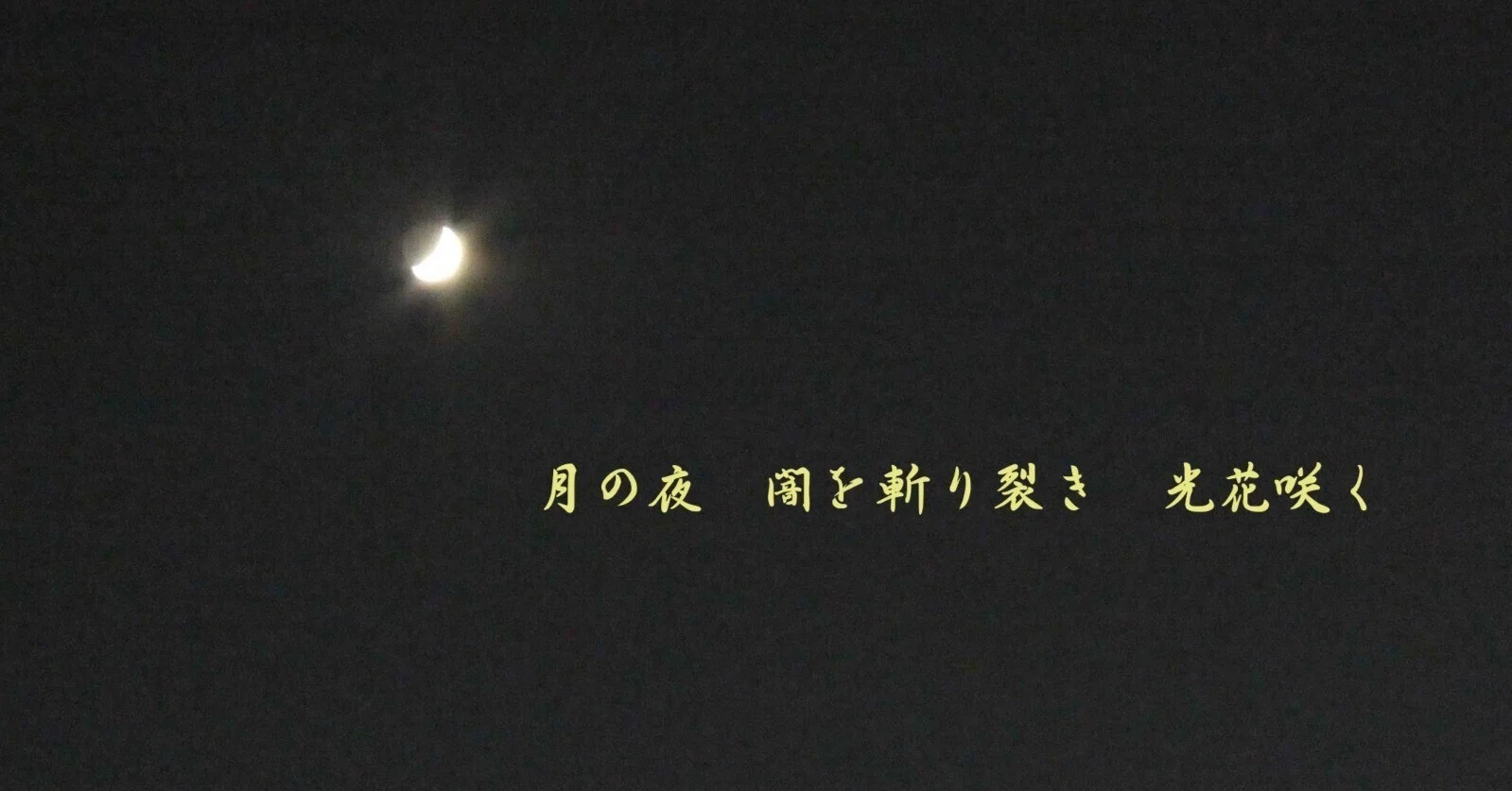 光、さく」の和歌について｜月夜野