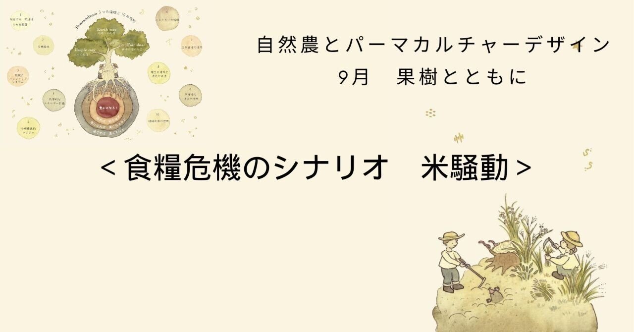 食糧危機のシナリオ 米騒動｜中尾佳貴 よしきんぐ