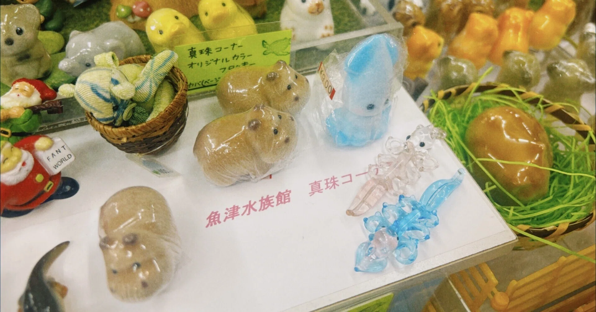 富山ひとり旅②魚津水族館と真珠コーナー〜北陸3県2Dayパス〜｜ふ