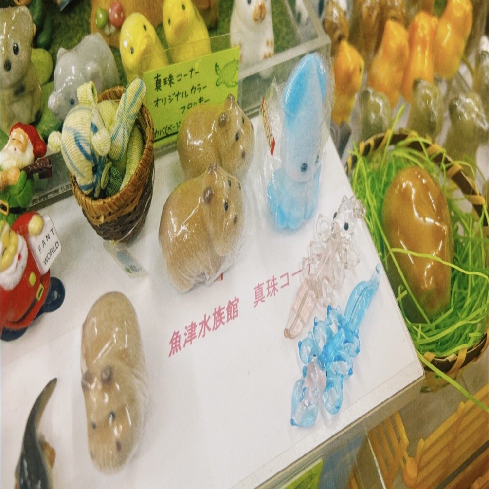 富山ひとり旅②魚津水族館と真珠コーナー〜北陸3県2Dayパス〜｜狸山