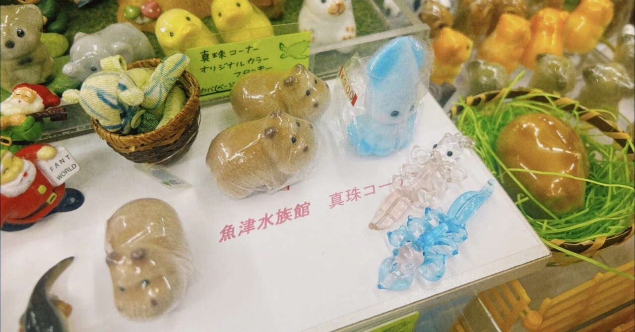 真珠コーナー あざらし 富山ひとり旅②魚津水族館と真珠コーナー〜北陸3県2Dayパス〜｜ふ