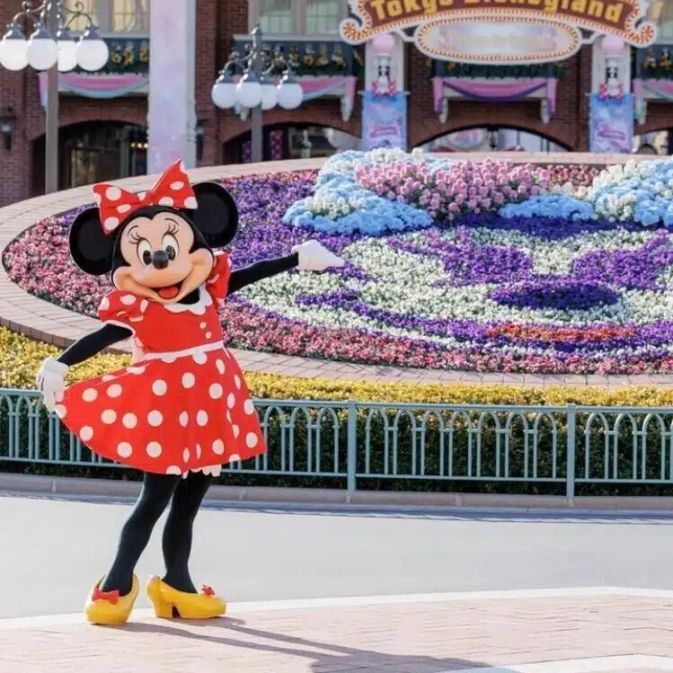 もちこ