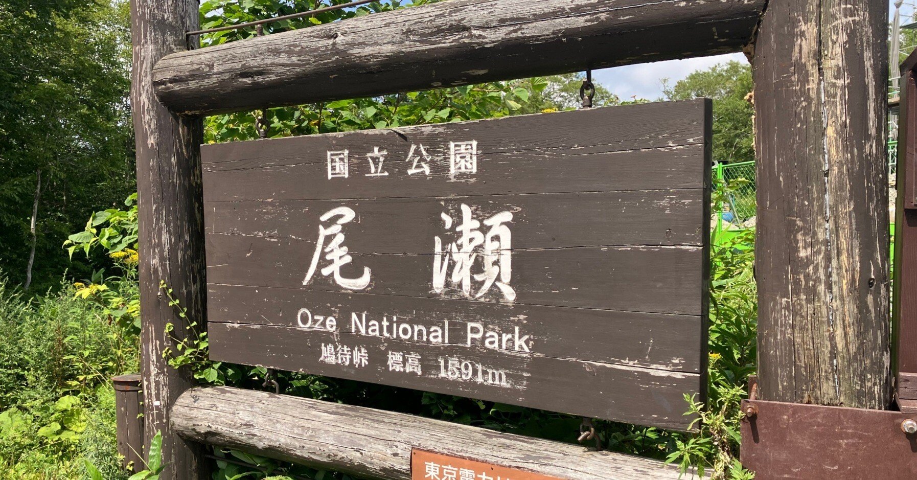 尾瀬ヶ原ハイキング紹介（2024年8月下旬）｜クリーム・ソーダァ