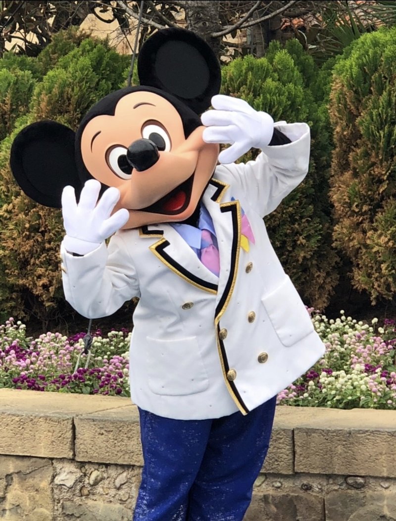 偏愛的ディズニーシーの楽しみ方 わたり Note 偏愛的ディズニーシーの楽しみ方 わたり Note