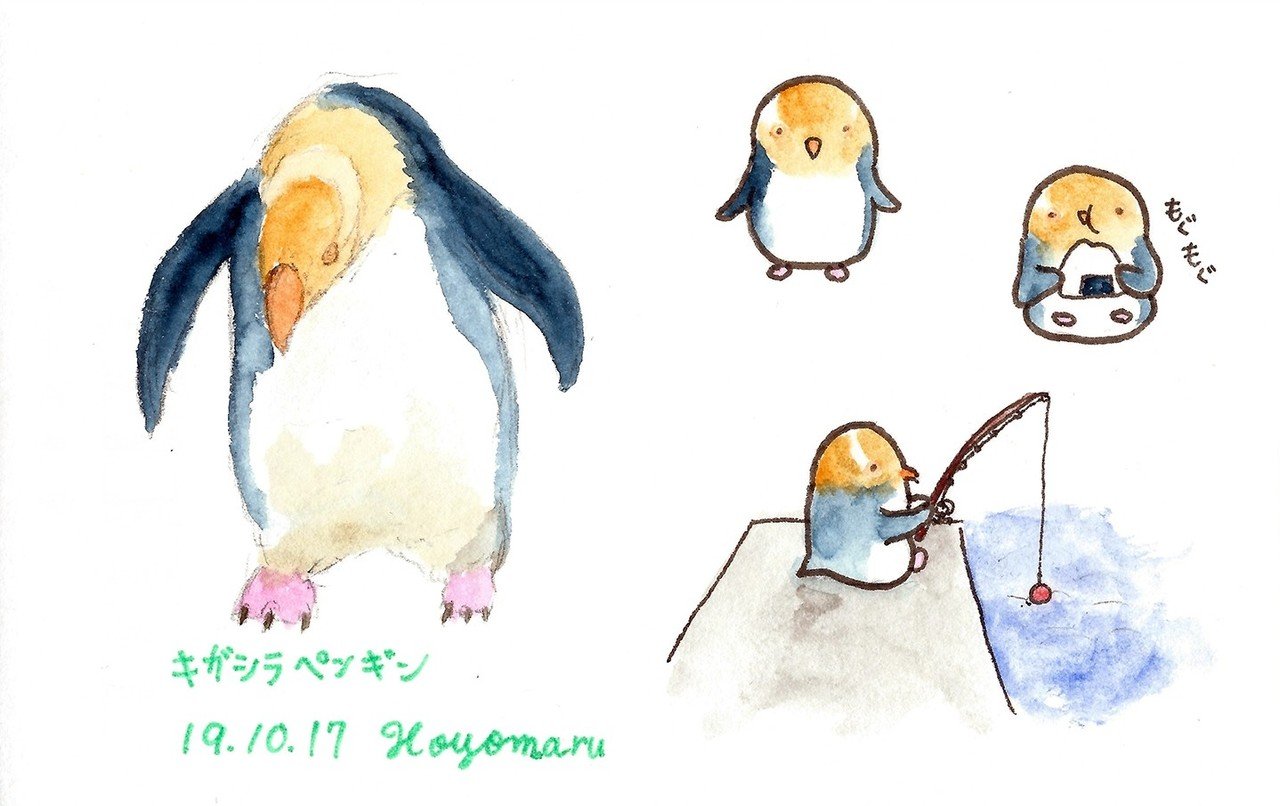 キガシラペンギン Hoyomaru Note