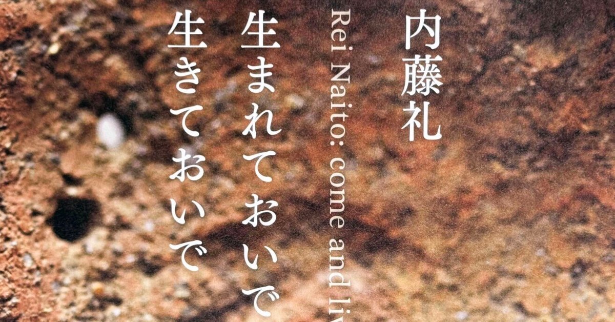 美術展2024#59】内藤礼 生まれておいで 生きておいで＠東京国立