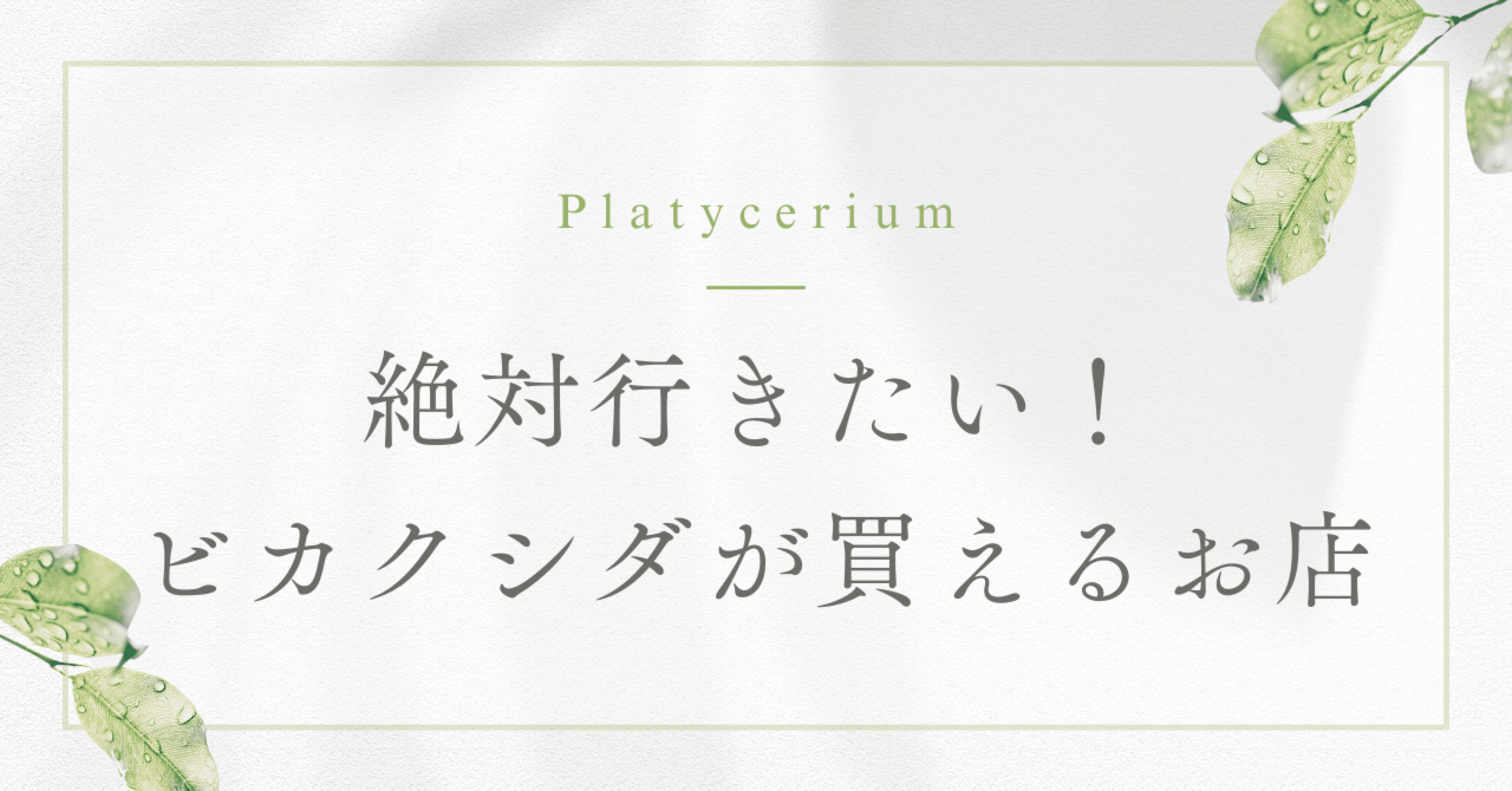 383df18e92fa8cfe8018d11bedf52b