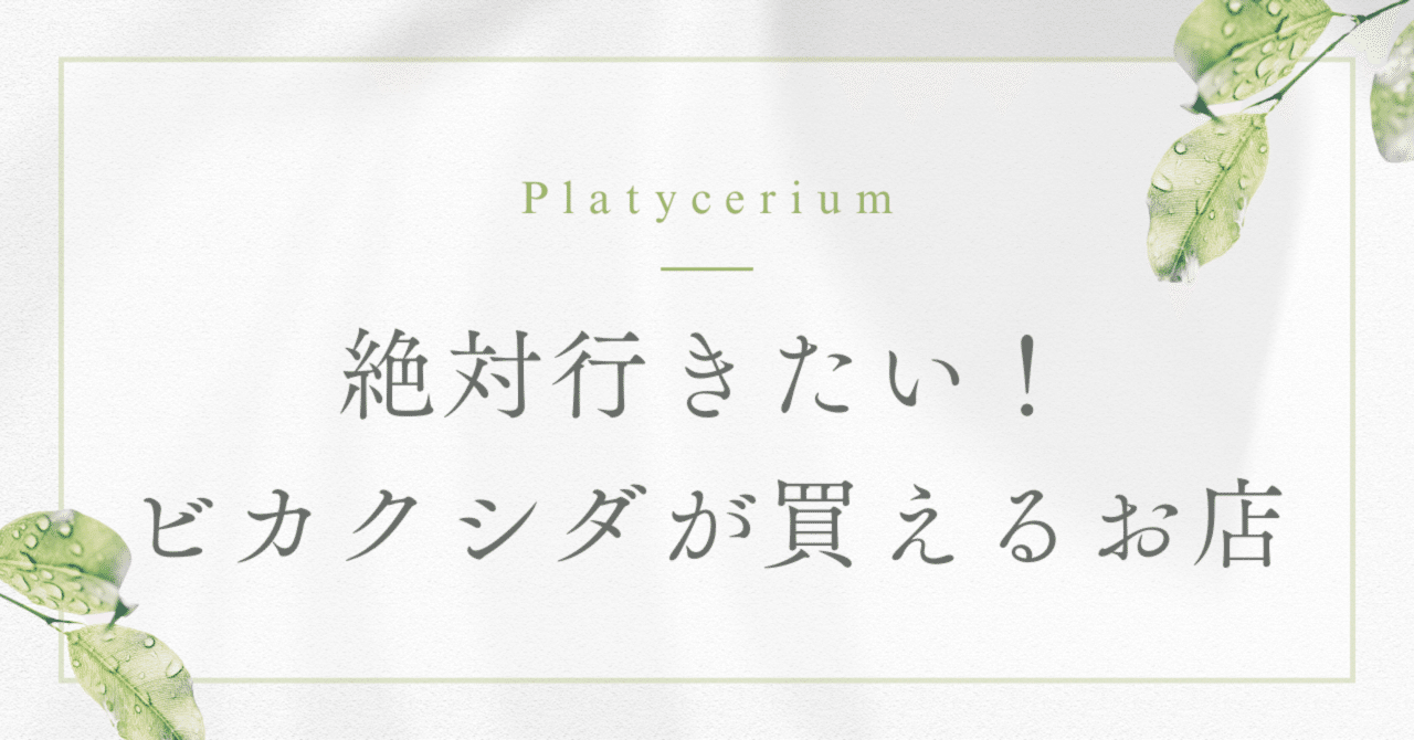 絶対行きたい！ビカクシダが買えるお店（東京とその近郊編）｜ななな