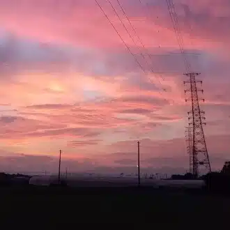 みかん