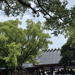 伊坂芳太良の世界｜nee