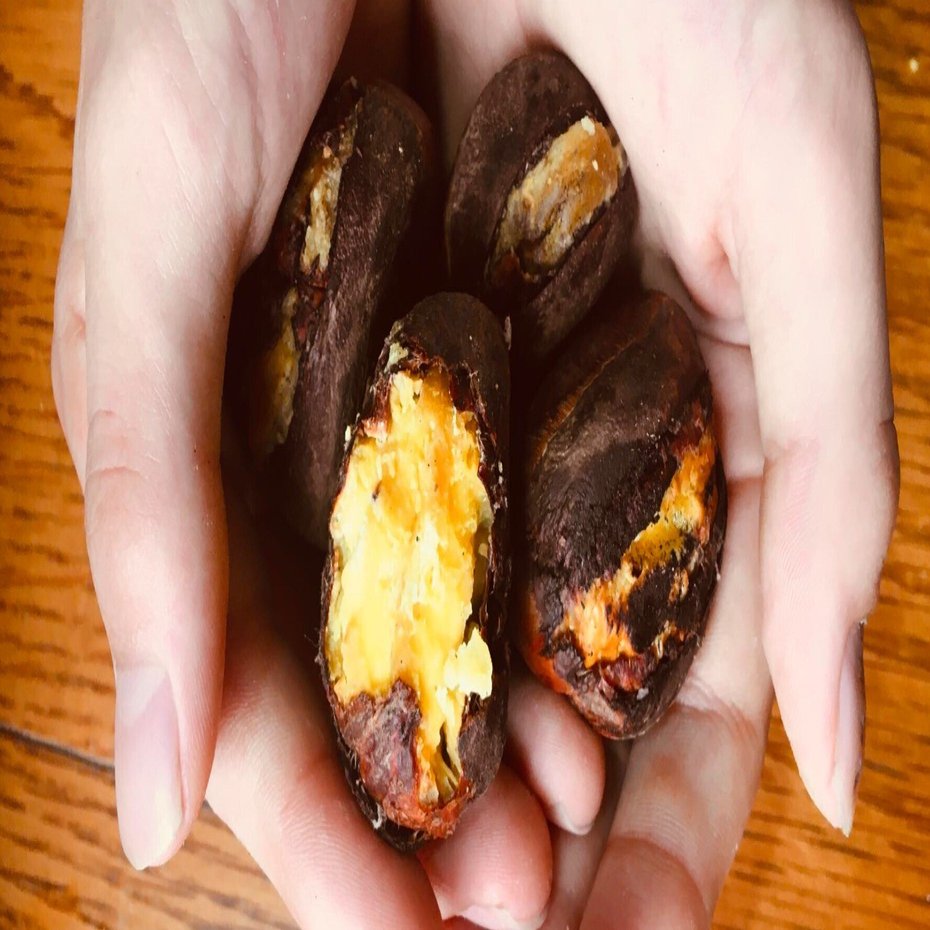 イベント】三豊産・旬の焼栗を楽しもう！｜良心市たかせ×さぬき山都