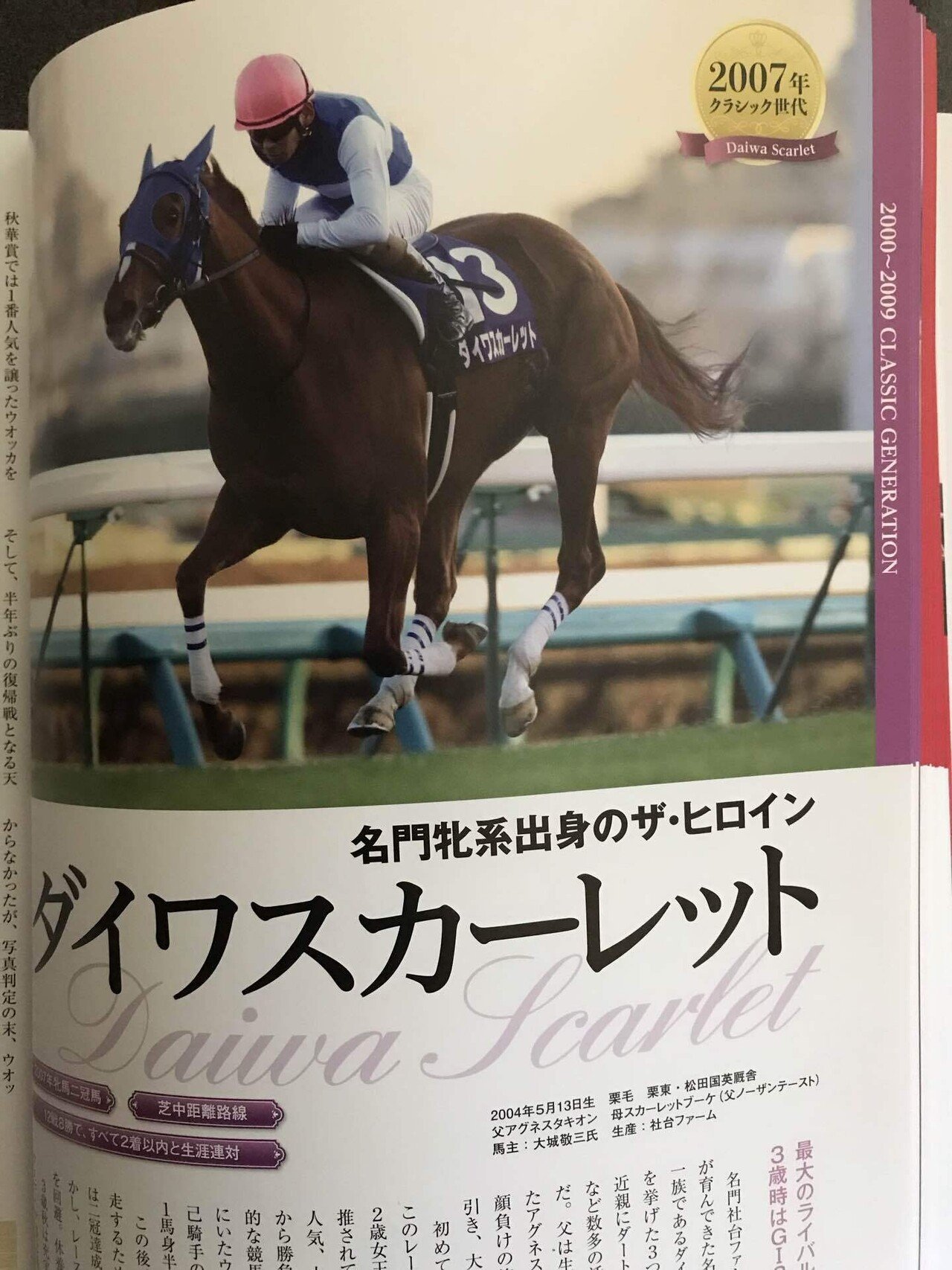 スペシャルウィーク単勝馬券セット スペシャルウィーク単勝馬券セット - メルカリ