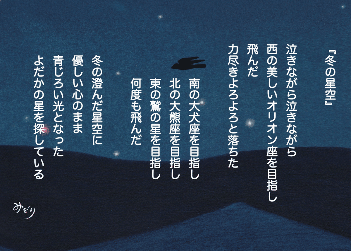 冬の星空｜山瑠璃草