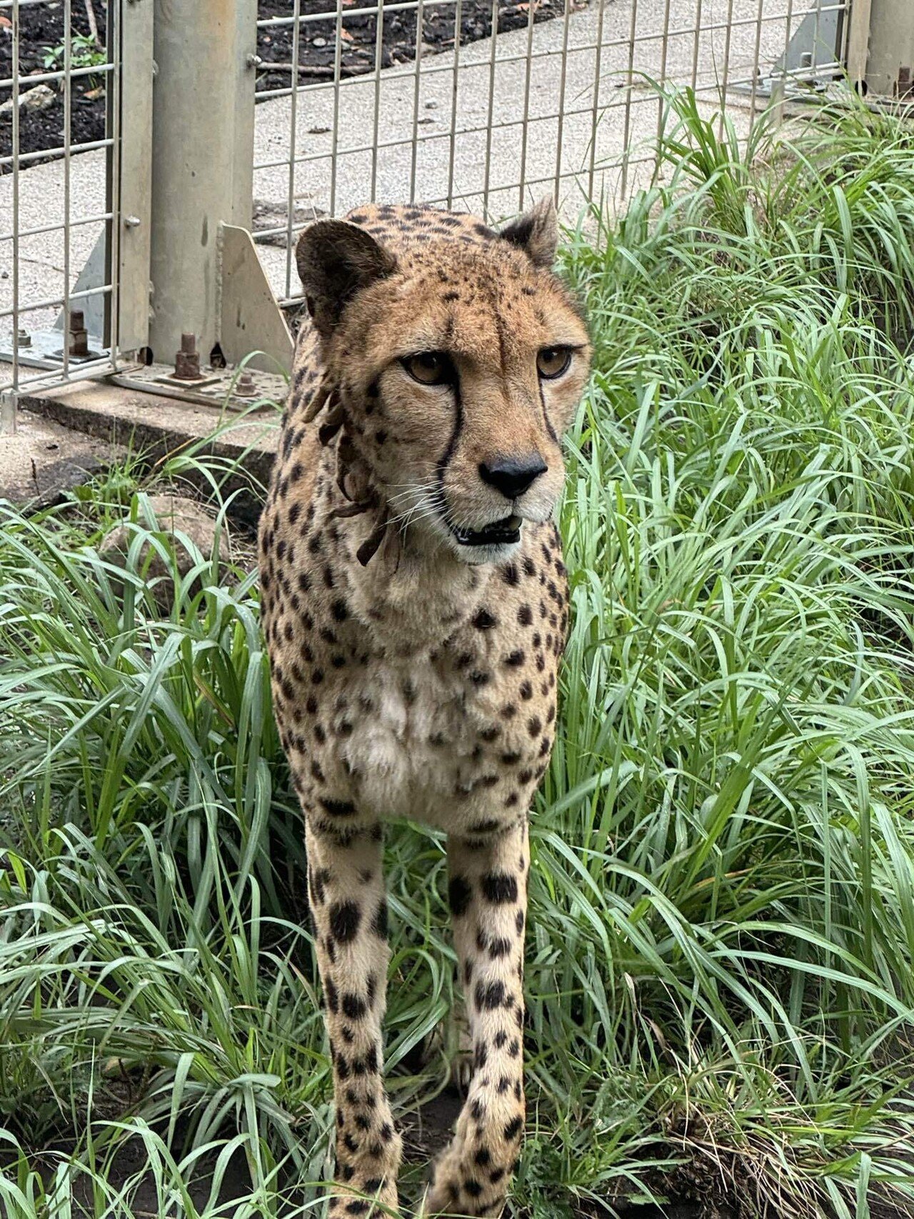 雨天決行）｜YAM