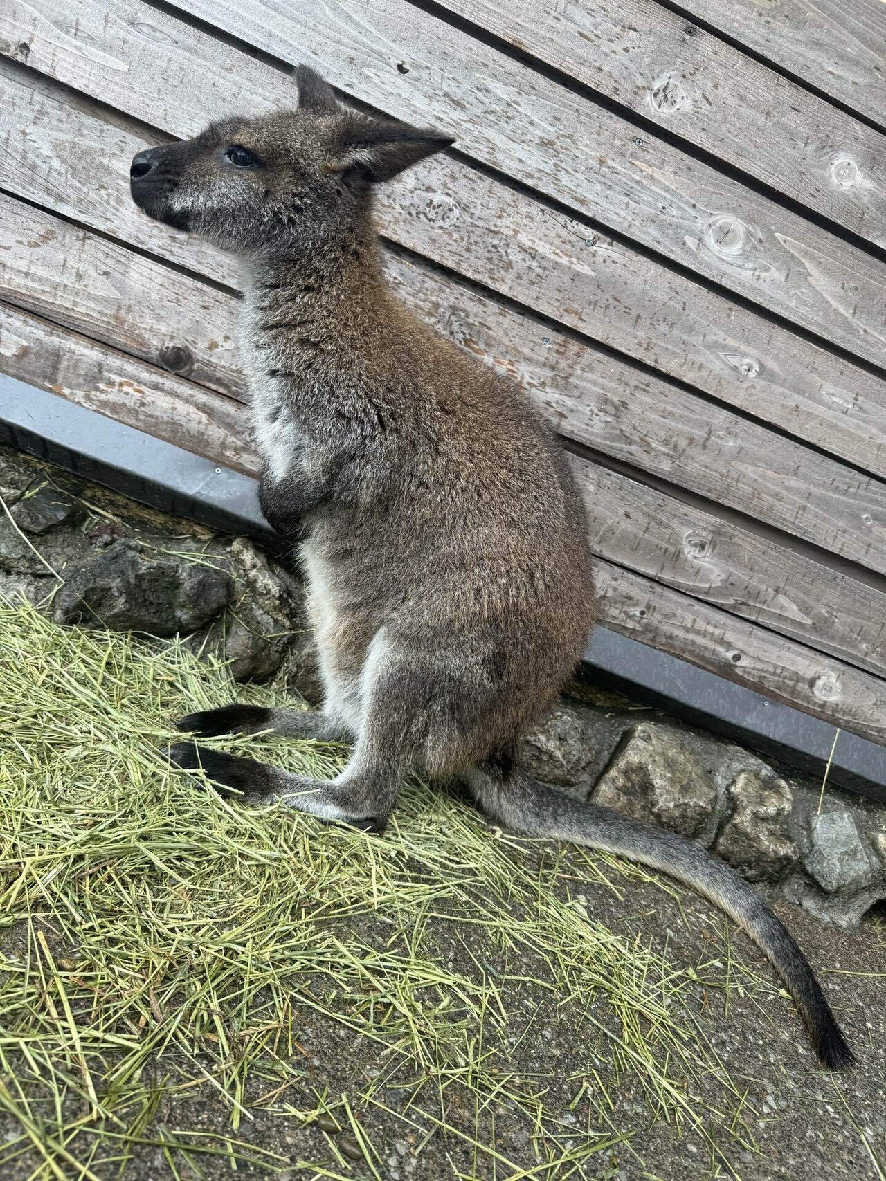 雨天決行）｜YAM