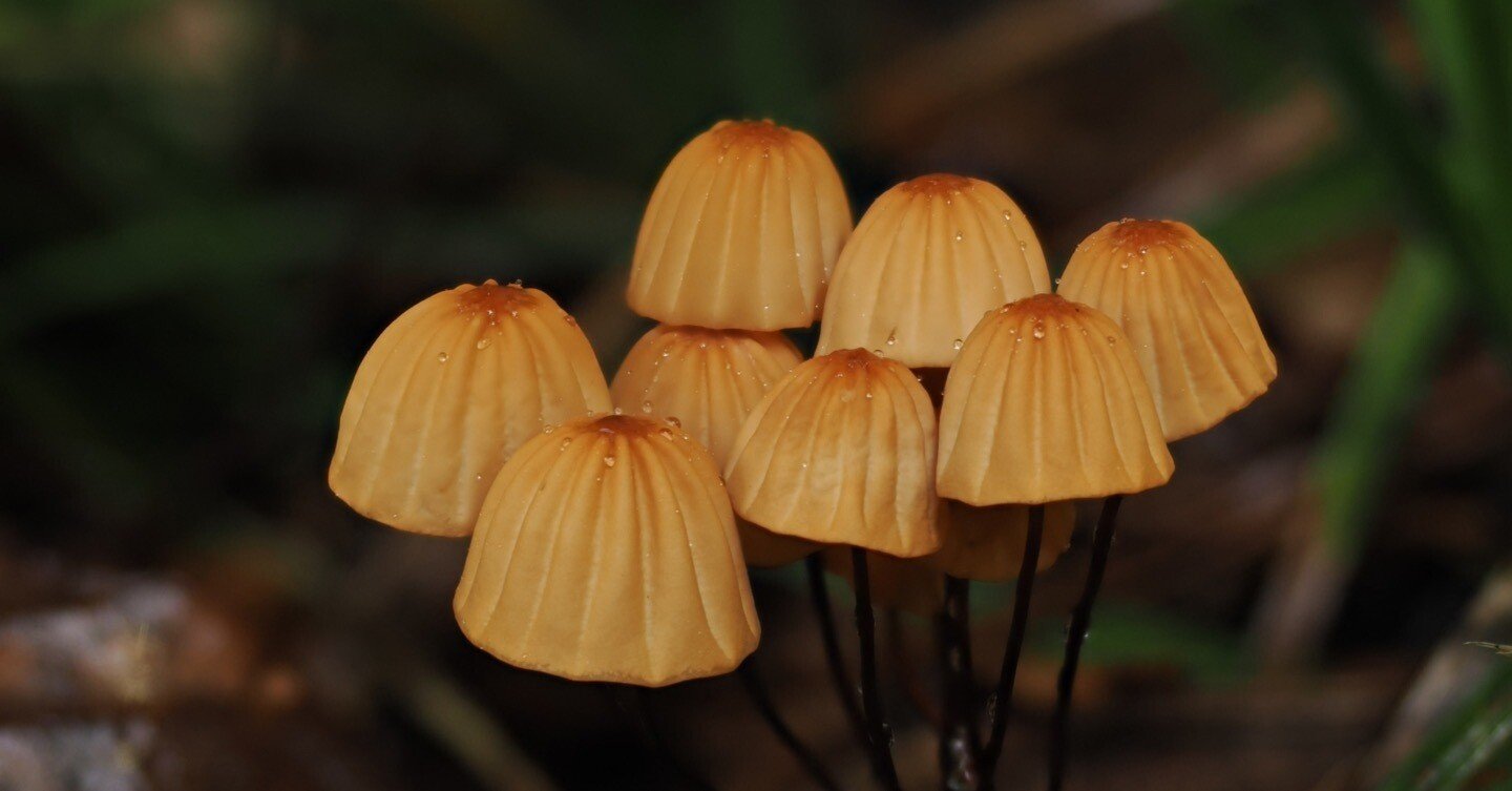 25bcd5970bf208233016a5d594d63d