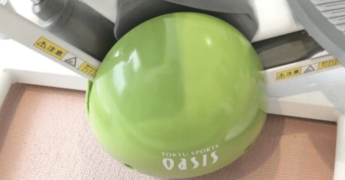 どこで買える？】オアシスのステッパーを使ってみたよ〜。音や