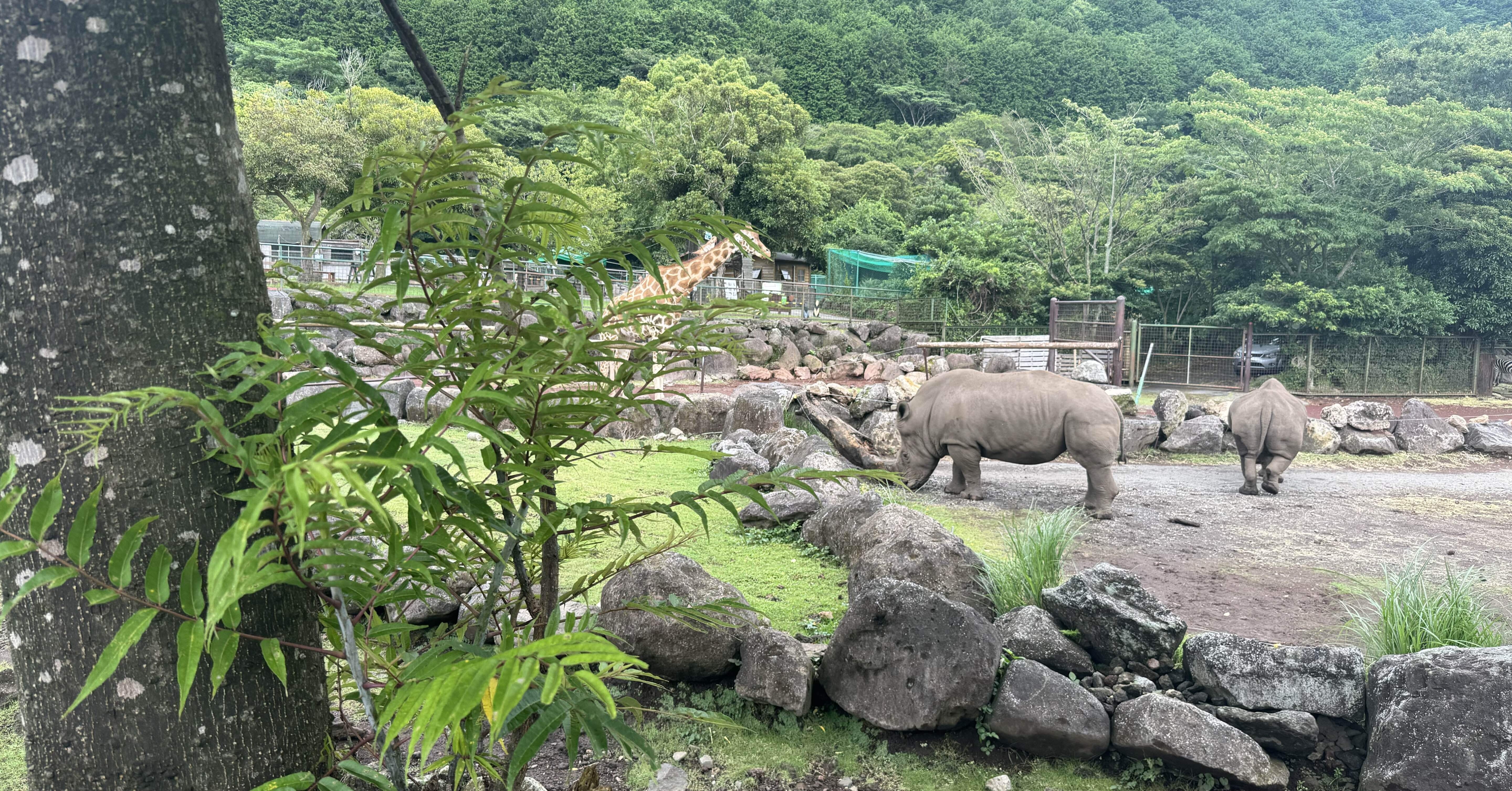 雨天決行）｜YAM