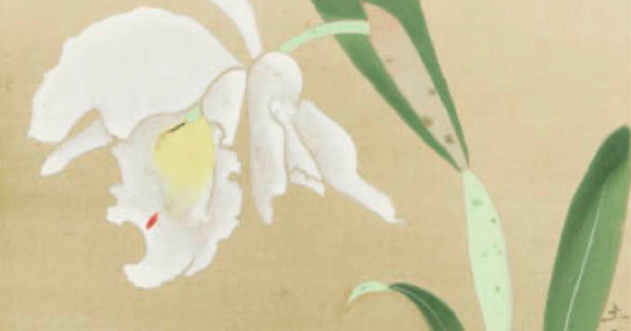 奥村土牛直筆水彩画色紙署名·印·由来書き有りタイトル付き外包装