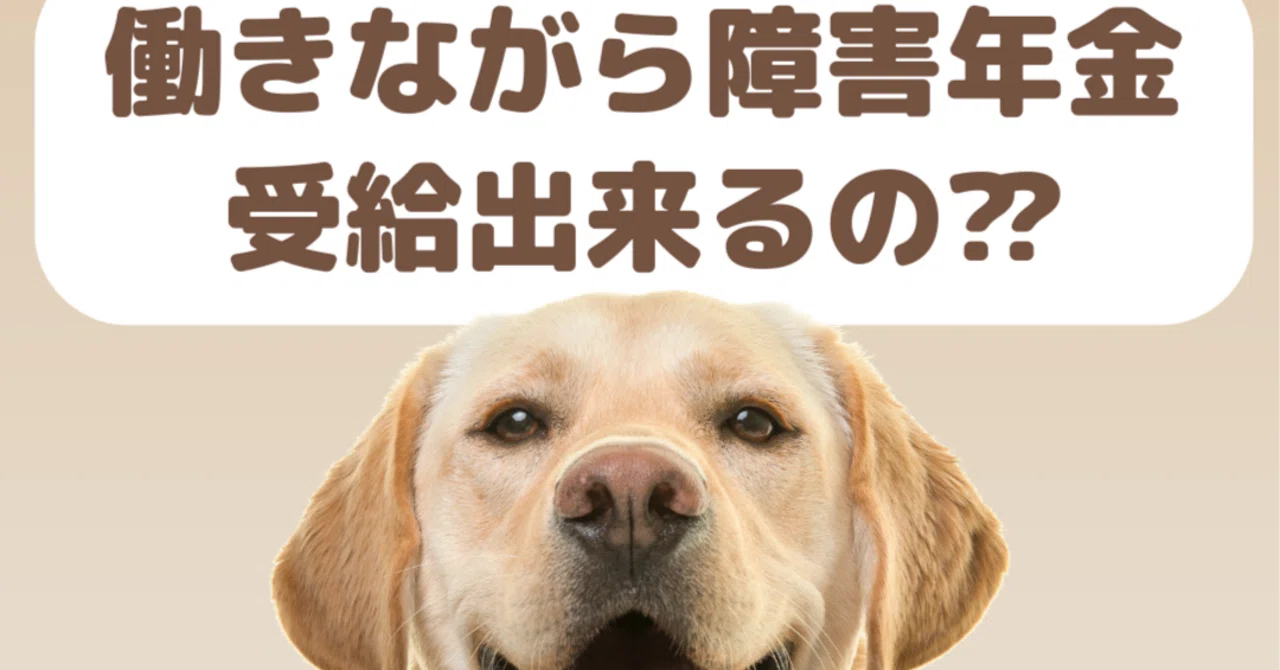 働き ながら 障害 年金