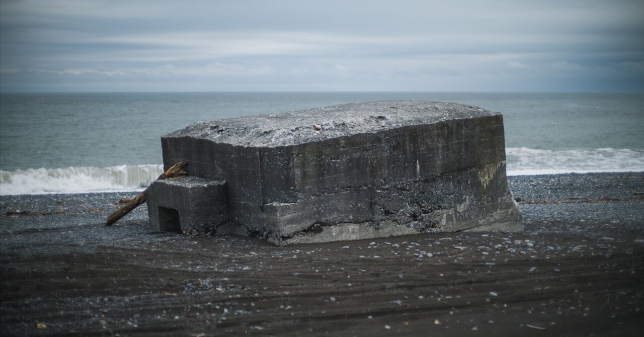 樹洞 北海道発 大きいです(^^) 樹洞 北海道発 大きいです(^^)