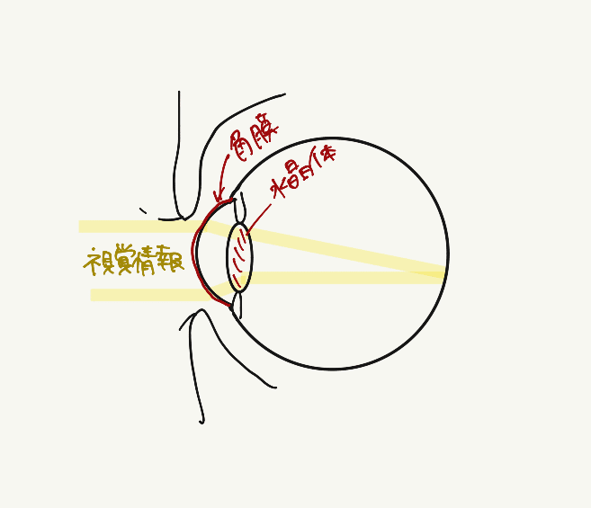 なんでマツエクだめ 橘さん Note なんでマツエクだめ 橘さん Note